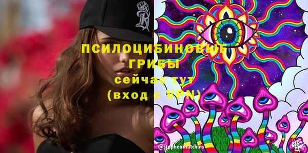 кокс Медвежьегорск