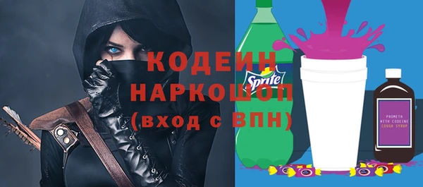крисы Мегион