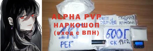 стаф Медногорск