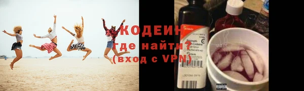 крисы Мегион