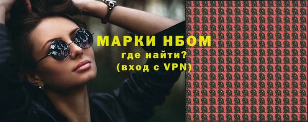 крисы Мегион