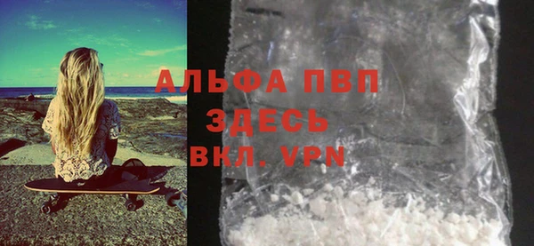стаф Медногорск