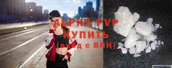 стаф Медногорск