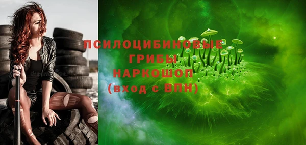 мдпв Ряжск