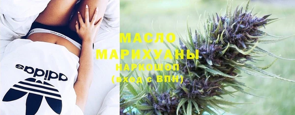 крисы Мегион