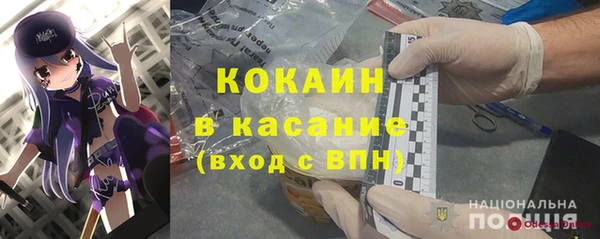 стаф Медногорск