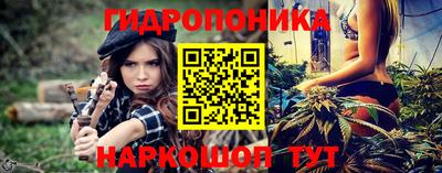 шишки Ипатово