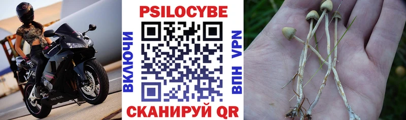 ссылка на мегу вход  Ливны  Псилоцибиновые грибы Cubensis  дарнет шоп 