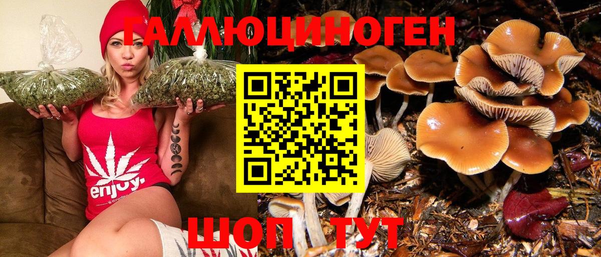 Ливны  Галлюциногенные грибы Magic Shrooms  купить наркотик  Вход с VPN 