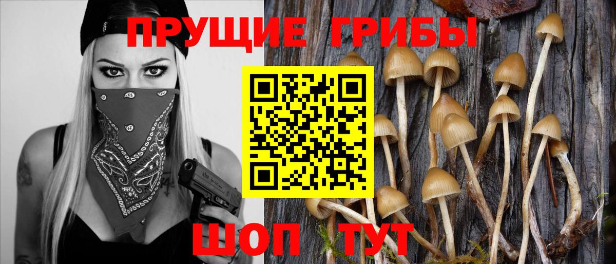 Псилоцибиновые грибы MAGIC MUSHROOMS  наркошоп  Ливны 