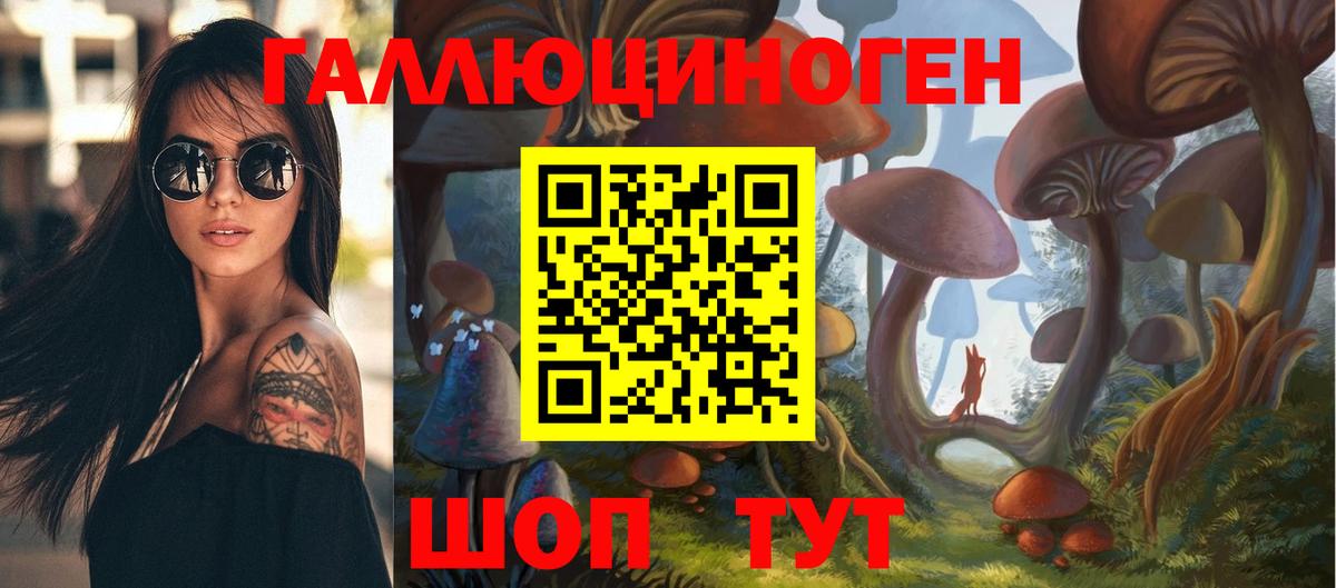 Псилоцибиновые грибы Psilocybe Ливны