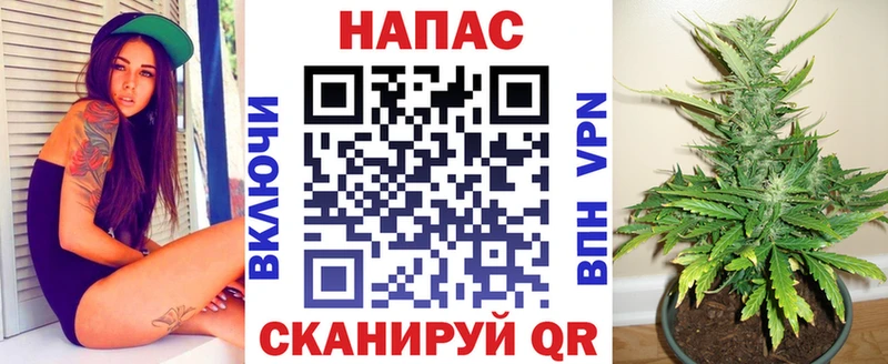 Марихуана план  блэк спрут зеркало  Ливны 