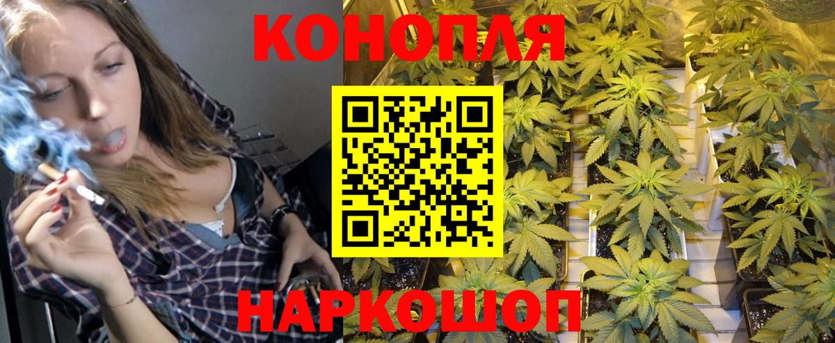 Марихуана план  Шишки марихуана конопля  Ливны  Марихуана конопля 